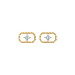 Puces d'oreilles Marly